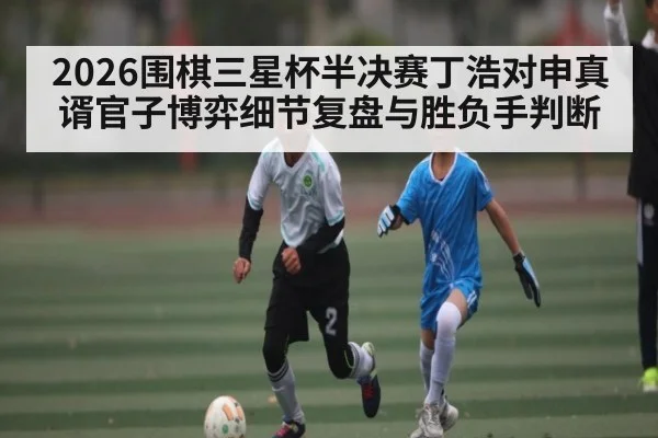 2026围棋三星杯半决赛丁浩对申真谞官子博弈细节复盘与胜负手判断 | AG