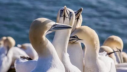 182体育app下载九台-CMG群众足球邀请赛泰安站 玉树5-1大胜赣州获第5名