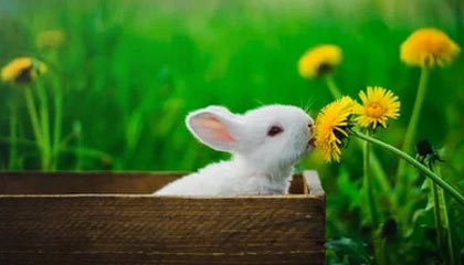 真人-【西甲】梅西梅开+成全格子 巴萨5比2胜10人贝蒂斯